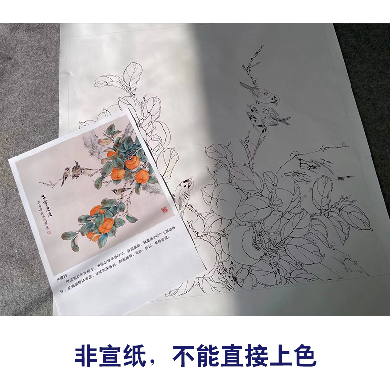 【有步骤】工笔画白描底稿斗方《吉事连连》柿子麻雀花鸟线稿CJ17-图1