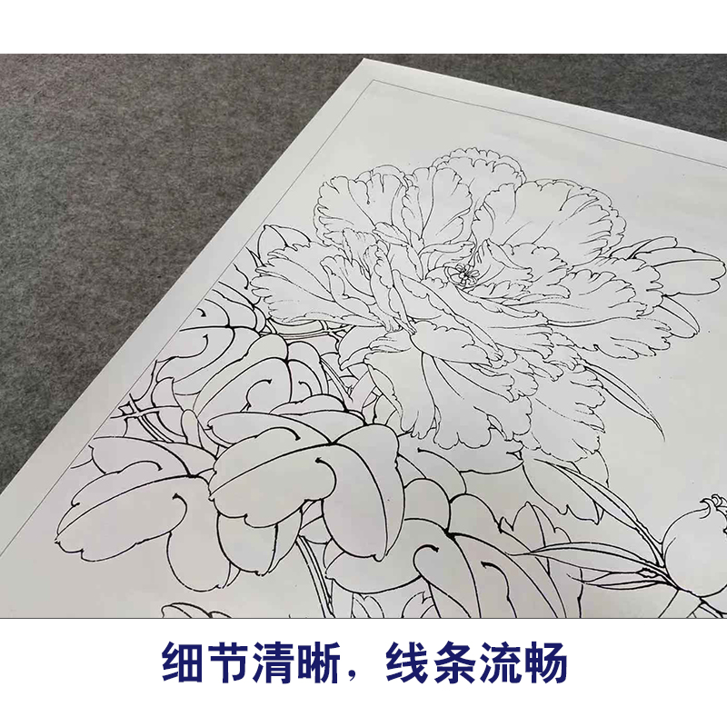 【有步骤、大彩图】李晓明工笔画白描底稿牡丹小品《赛珠盘》KD33 - 图3