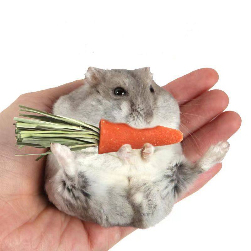 Hamster teething snacks, small carrots, rabbits, squirrels, golden bears, guinea pigs, calcium supplements, wear-resistant rabbit supplies
