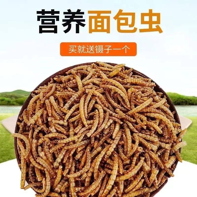 仓鼠零食营养面包虫干增肥提升高蛋白鸟类侏乌龟粮食仓鼠粮黄粉虫,淘宝优惠券,粉丝福利购,淘宝优惠卷