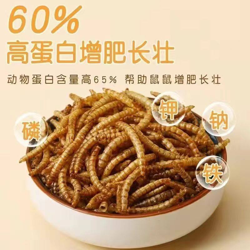 仓鼠粮食饲料刺猬仓鼠零食面包虫干黄粉虫龟粮用品面包虫营养专用,淘宝优惠券,粉丝福利购,淘宝优惠卷