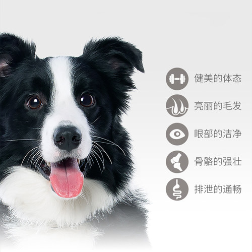 诺瑞好之味狗粮2.5kg牛肉味全价小型成年期幼犬泰迪通用型天然粮 - 图2