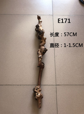 云南特产黑果树黑果木原生态大