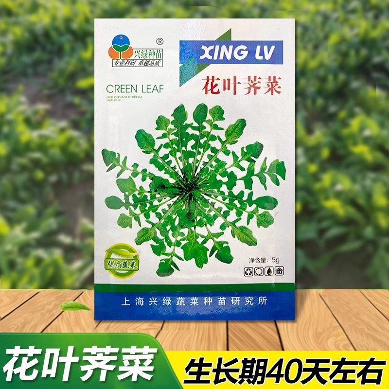 小叶野菜 野生荠荠菜种子阳台四季播菜籽盆栽地菜蔬菜种籽孑菜种,淘宝优惠券,粉丝福利购,淘宝优惠卷