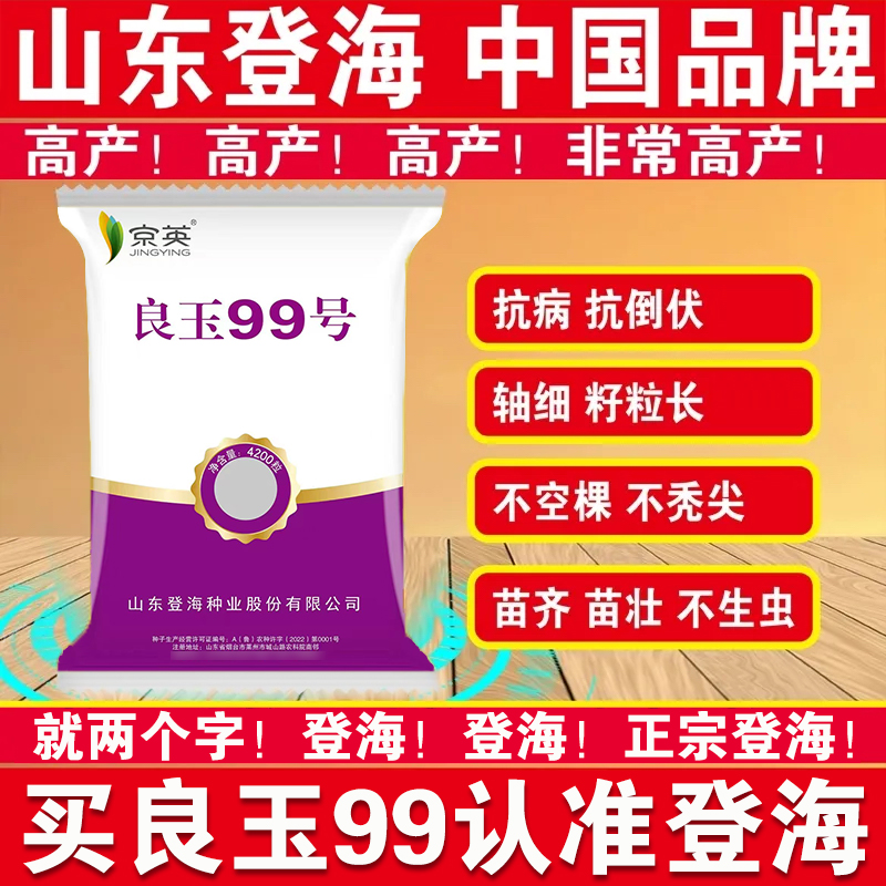 登海良玉99高产玉米种杂交国审矮杆抗旱红轴玉米种子苞米种大田种 - 图2