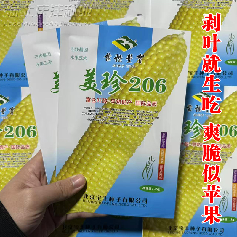 超甜水果玉米种子生吃甜脆无渣美珍206非转基因水果玉米种子籽甜,淘宝优惠券,粉丝福利购,淘宝优惠卷