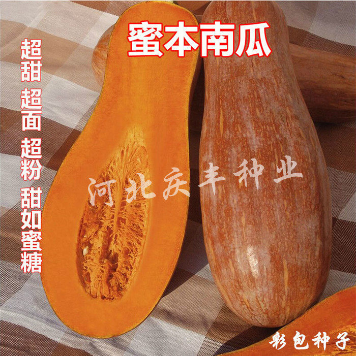 早栗蜜本南瓜种子超甜粉面蜜本甜南瓜早熟高产耐贮运四季蔬菜种籽,淘宝优惠券,粉丝福利购,淘宝优惠卷