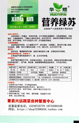绿苏种子 苏子 苏叶 适合生鱼片 煎黄瓜煮粥 能食用药用 蔬菜种子 - 图1