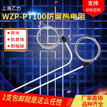 Temperature sensor probe with acid-base corrosion protection Teflon PT100 thermocouple resistance temperature line for electric plating plant