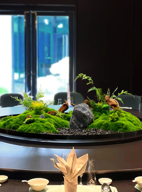 餐桌摆件转盘中间装饰摆花仿真苔藓微景观酒店餐厅圆盘假绿植造景