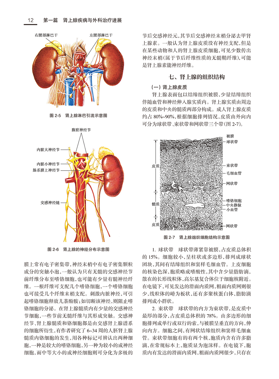 现代泌尿外科学 牛远杰 韩瑞发 编 附视频 临床诊疗实践 泌尿生殖系统良恶性疾病微创外科新技术应用 人民卫生出版社9787117335485