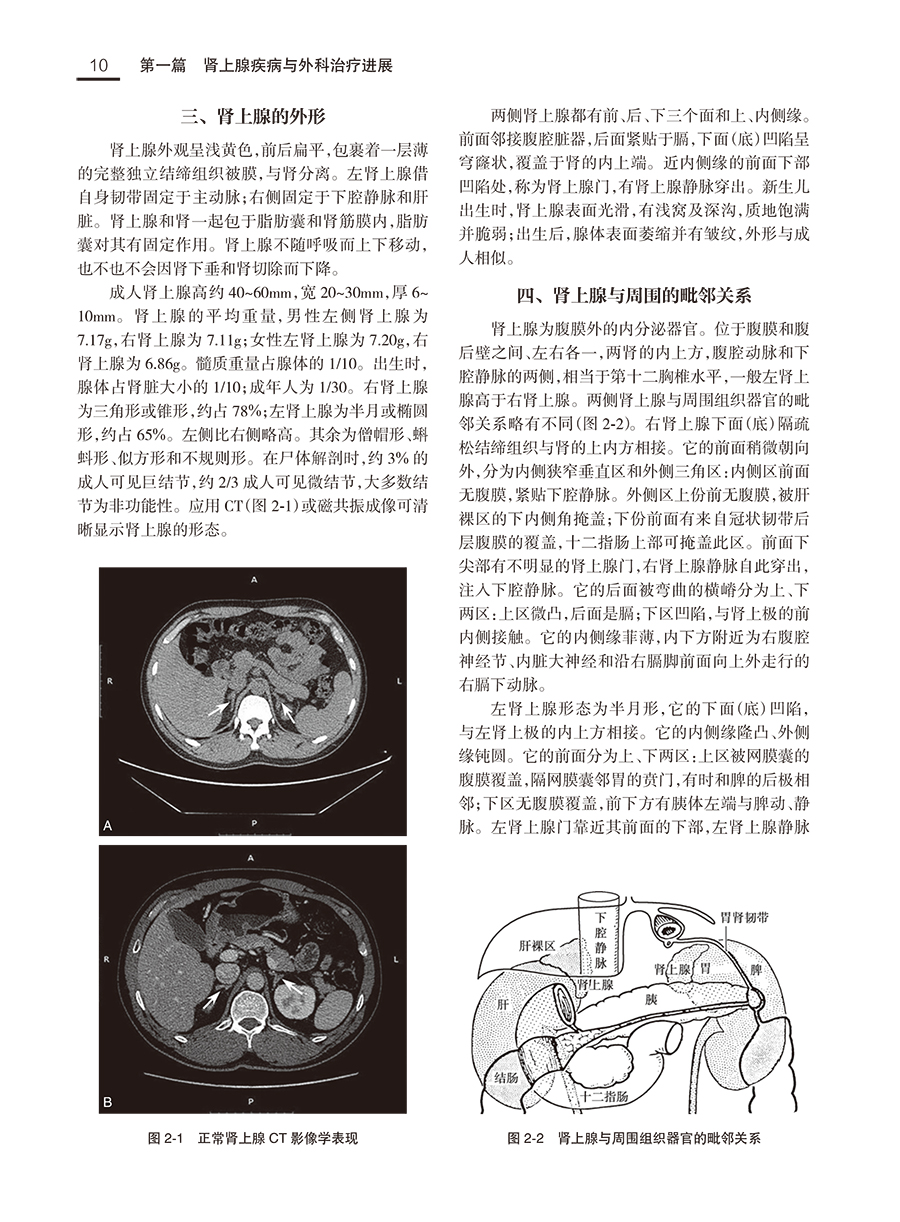 现代泌尿外科学 牛远杰 韩瑞发 编 附视频 临床诊疗实践 泌尿生殖系统良恶性疾病微创外科新技术应用 人民卫生出版社9787117335485