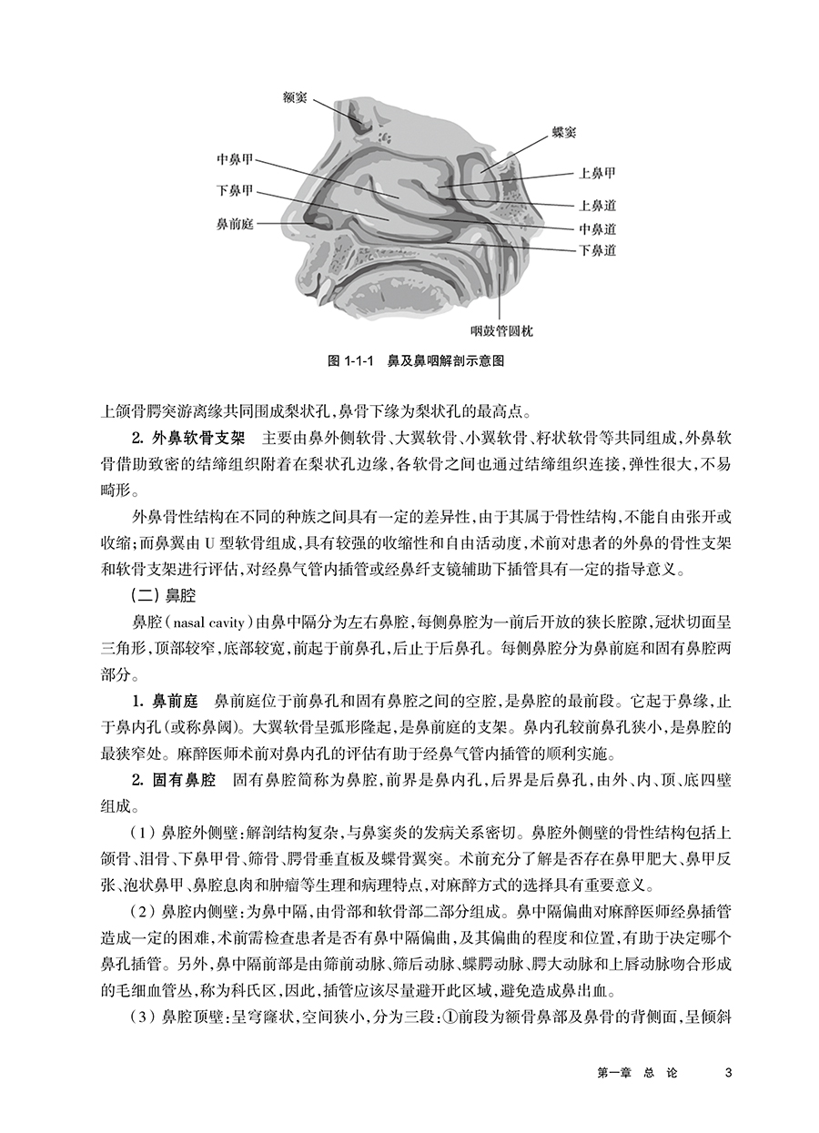 耳鼻咽喉头颈外科手术麻醉 沈霞 缪长虹 气道管理要义 外科高风险急诊手术麻醉管理危机事件防范处置 人民卫生出版社9787117357937 - 图2