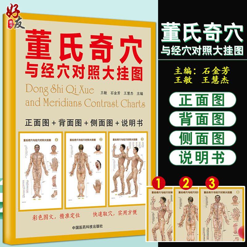 董氏奇穴与经穴对照大挂图王敏石金芳王慧杰主编中国医药科技出版社9787506797320-图3