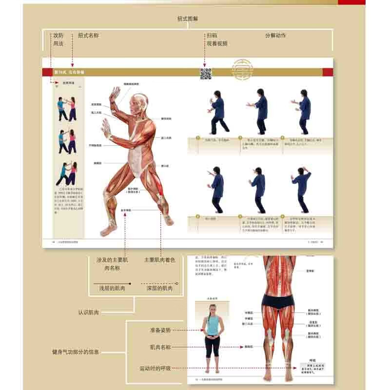 太极拳肌肉解剖图解附视频肌肉系统功能研究 24式太极拳定势动作肌肉解剖图解刘旭彩胡志华北京科学技术出版社9787571424008-图3