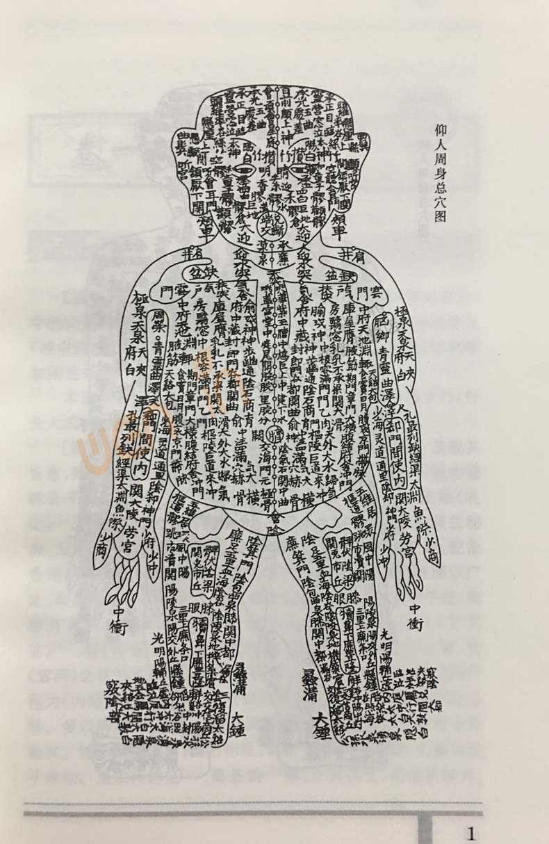 正版 针灸大成校释 第二版2版 张缙 中医针灸书籍 针灸学图书 针灸大成 杨继洲正版 倪海厦白话 针灸书籍 9787117115445