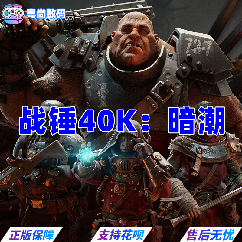 Steam 战锤40K暗潮 帝国版 PC中文正版游戏 Warhammer 40000: Darktide 国区激活码CDKey 动作射击 - 图3