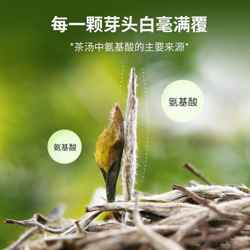 天福茗茶 福鼎白牡丹白茶茶叶礼盒 白茶送礼礼盒装,淘宝优惠券,粉丝福利购,淘宝优惠卷