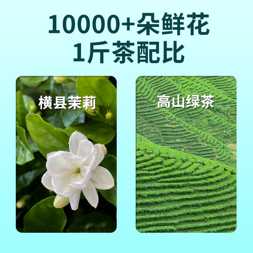 天福茗茶浓香型茉莉花茶罐装茶叶绣球龙珠雪环茉莉广西横州 - 图0