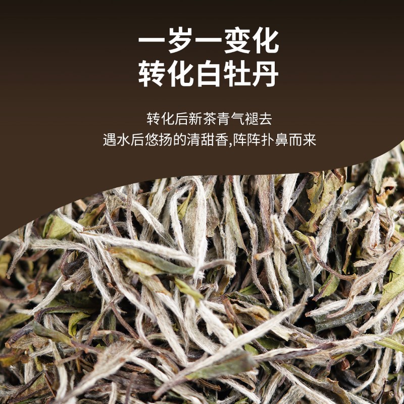 天福茗茶福鼎白牡丹白茶茶叶礼盒 1-2年原料 100克-图2