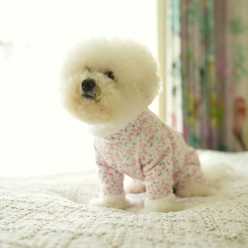 Одежда для щенков осень и зимняя одежда Bichon четырехфутов