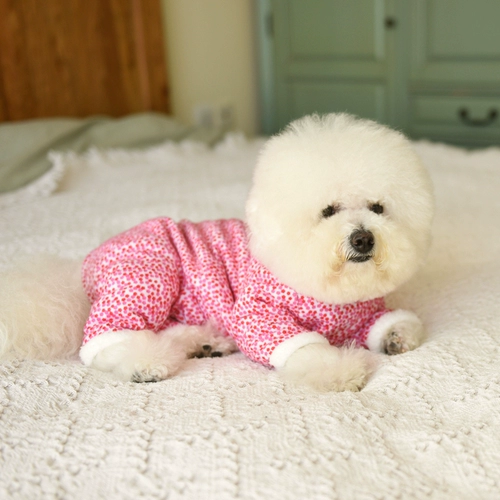 Одежда для щенков осень и зимняя одежда Bichon четырехфутов
