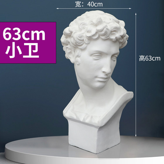 Plaster statue of David art teaching aids commonly used in studios
