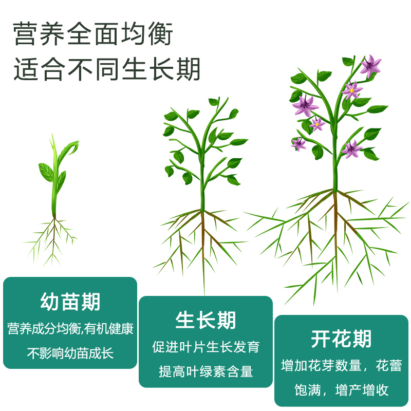 花肥家用养花通用型氮磷钾复合肥多肉盆栽花卉蔬菜颗粒控缓释肥料 - 图2