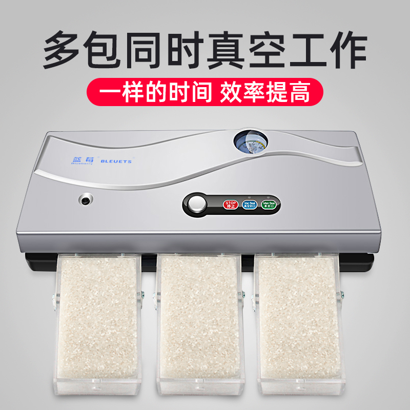 蓝莓牌320B真空机商用大米砖真空包装封口机商用塑料袋茶叶抽真空塑封机小型真空机包装机塑封机干湿两用