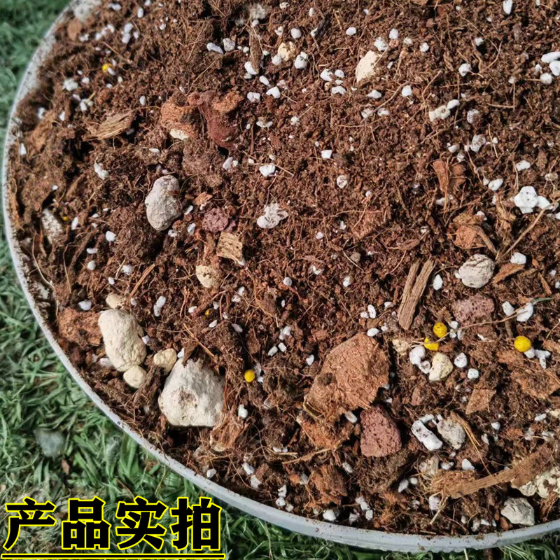 竹芋专用土孔雀飞羽油画彩叶竹芋通用型营养土室内盆栽种植土肥料-图2