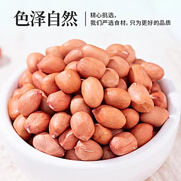 淘金币13新花生仁800g生的商用批发不带壳[4元优惠券]-寻折猪