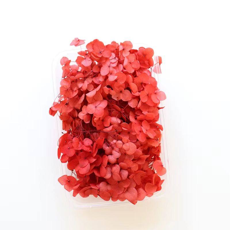 【永生绣球花】安娜绣球木绣球花玻璃罩相框装饰手工diy材料包5g,淘宝优惠券,粉丝福利购,淘宝优惠卷