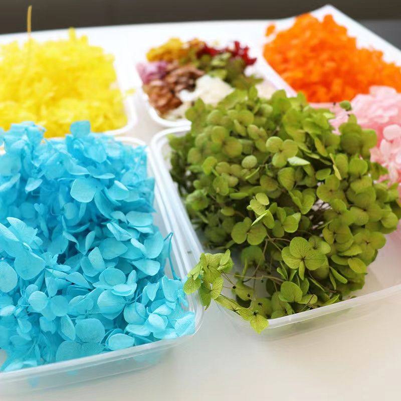 【永生绣球花】安娜绣球木绣球花玻璃罩相框装饰手工diy材料包5g,淘宝优惠券,粉丝福利购,淘宝优惠卷