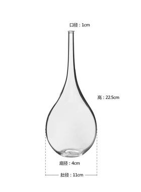 日式云雾禅意花瓶 玻璃透明花器水养插花家居客厅茶道摆件鹤首