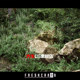 Unreal UE5 realistic mountains, Swiss snow mountains, grassland scenery, terrain landscape, large snow mountain river scenes