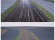 Ue5 unreal 5 realistic dirt road path muddy snow road car traces pavement road material texture material