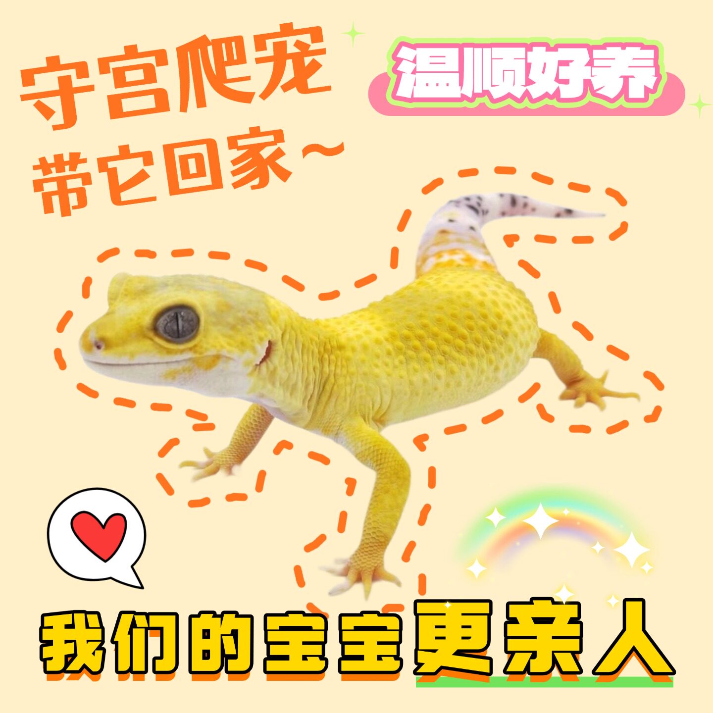 豹纹守宫新手入门蜥蜴宠物活物儿童宠物温顺好养无毒可上手小火龙