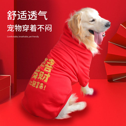 狗狗新年衣服秋冬装过年喜庆金毛拉布拉多边牧中型大型犬冬季卫衣 - 图2