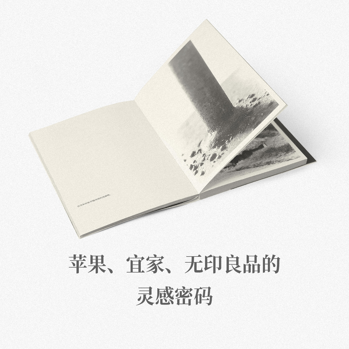 侘寂小众社致艺术家，设计师，诗人和哲学家美学设计（读库1903小册子）《侘寂》雷纳德·科伦9787513334853读库正版-图2