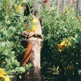 Mima Chengyi устанавливает 90%шерсть 10%кашемир -двойной писатель