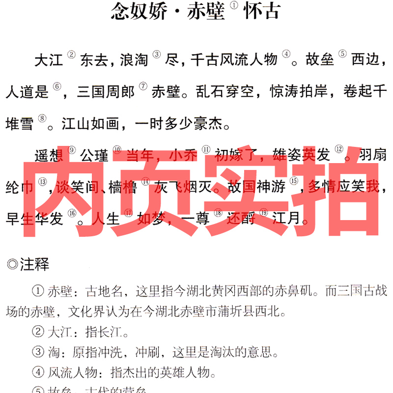 苏轼诗词集文集选评词集诗集选集定风波阅读诗词文赋一百篇定风波全集赏析词选校注 东坡集诗词 苏东坡诗词 - 图0