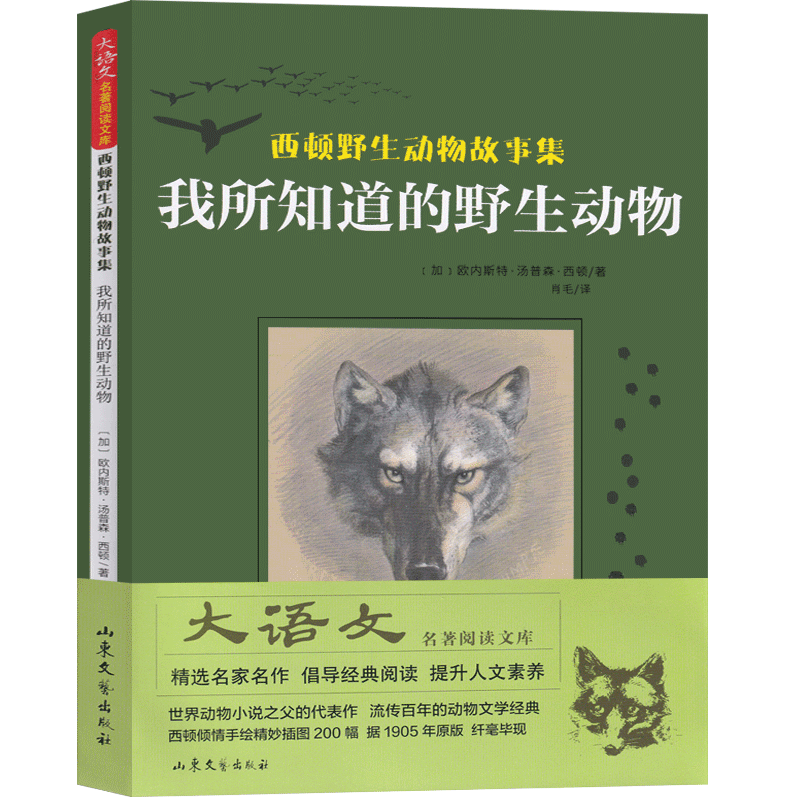 我所知道的野生动物西顿野生动物故事集小说动物记三年级课外书小学生正版老师推荐必读阅读书籍儿童读物少儿图书山东文艺出版社-图2