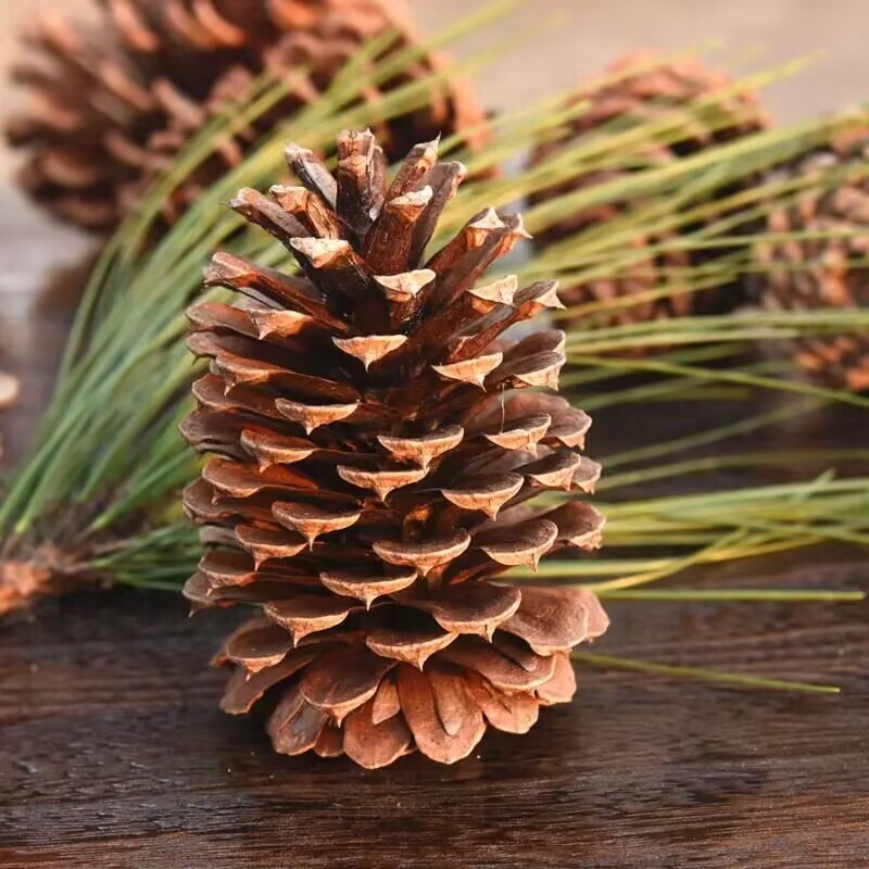 图3