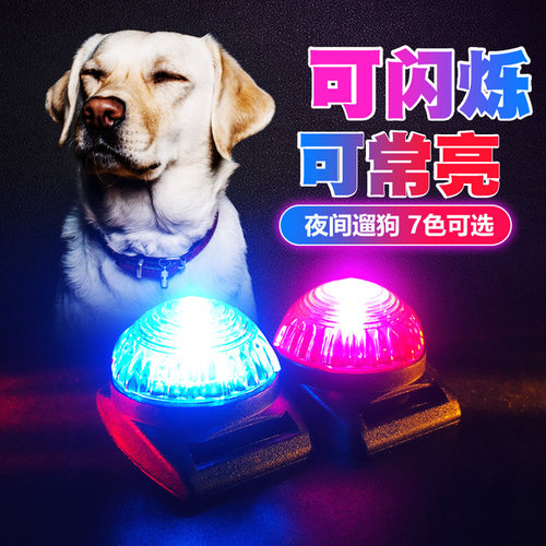 狗狗夜间防走失遛狗灯防丢神器宠物用品项圈发光吊坠led夜光铃铛 - 图1
