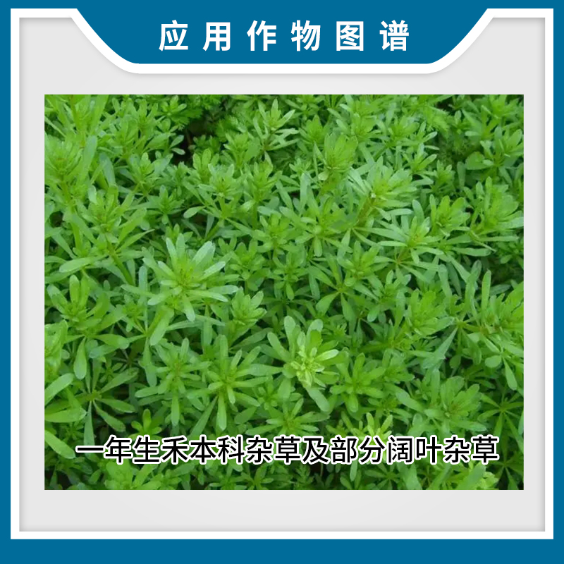 农得益 50%丁草胺一年生禾本科杂草及部分阔叶杂草农药除草剂 - 图2