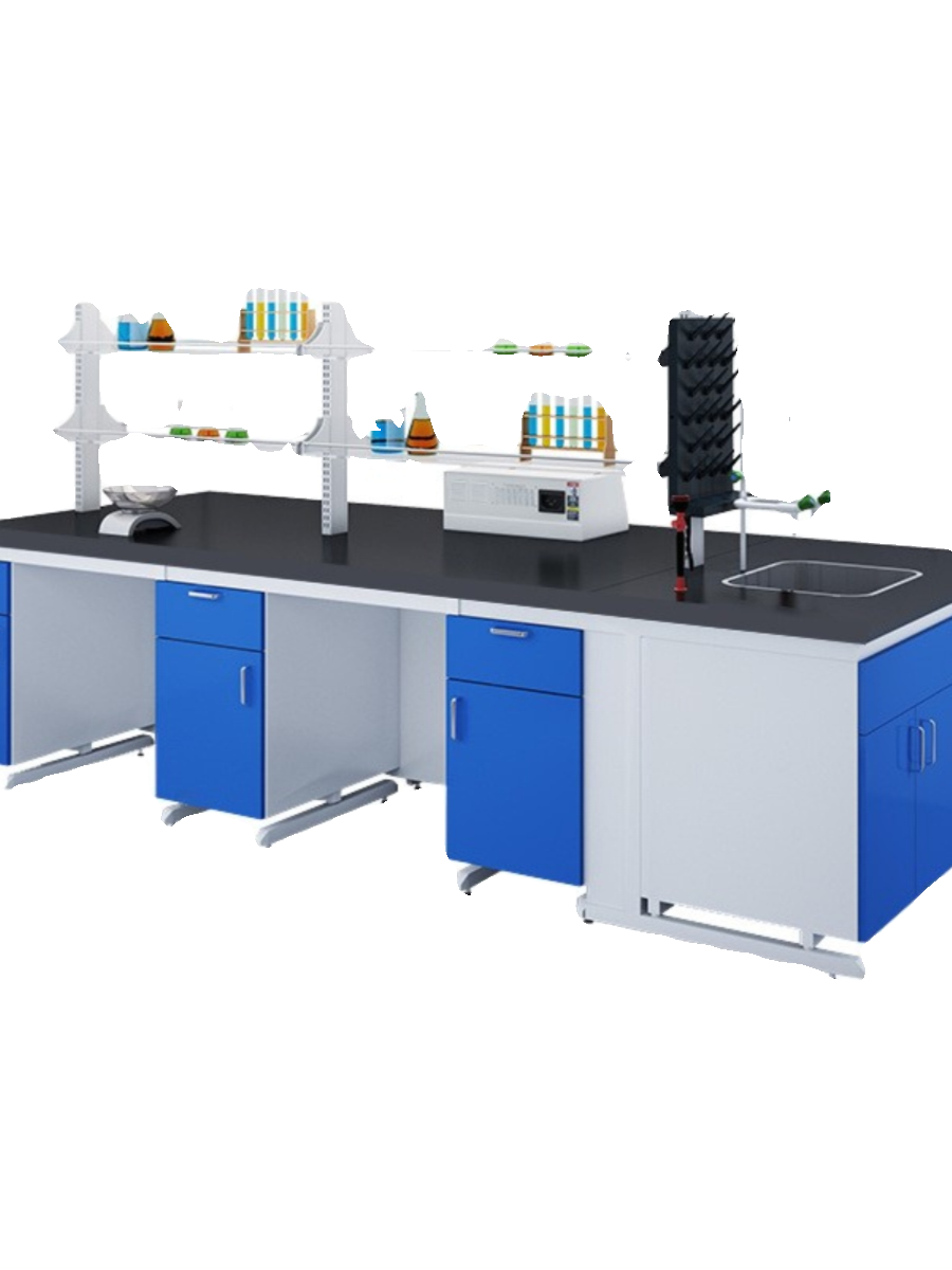 全钢试验台实验室工作台实验室试剂架边台钢木中央台通风橱柜 - 图3