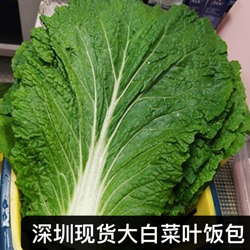 东北饭包白菜叶打饭包深圳现货特产新鲜大白菜叶饭包菜叶500克 - 图0