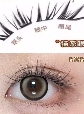 浓密上镜网感拉长眼型狐系假睫毛