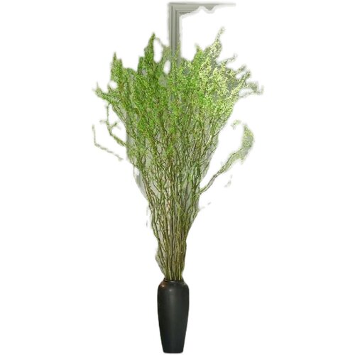 龙柳鲜切枝水培生根发芽四季水养绿植室内装饰年宵花昆明基地直发 - 图3
