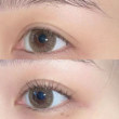 Japan's Shiseido Craftsmanship Eyelash Curler Natural Curl Long-lasting Styling Sunflower 213